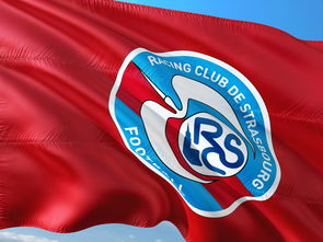 半岛体育网页版入口-帕尔梅拉斯备战细节曝光，冲击世俱杯全力以赴