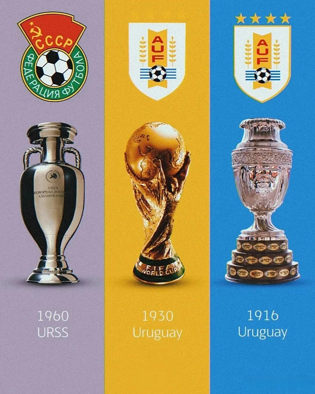 巴西排球队实力强大,夺得多项冠军 巴西排球队实力强大,夺得多项冠军